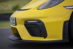 Porsche 718 Cayman GT4 2019 года (WW)